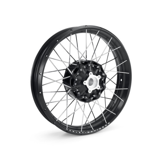 Laced 19 in. Front Wheel