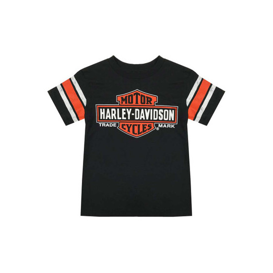 Harley Davidson logo top