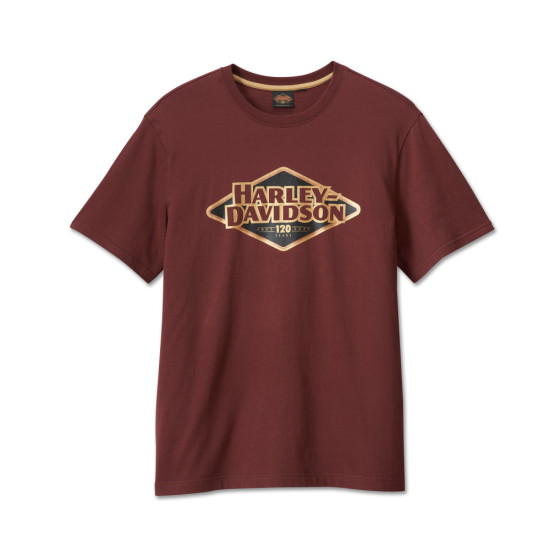 Men's 120th Anniversary Tee